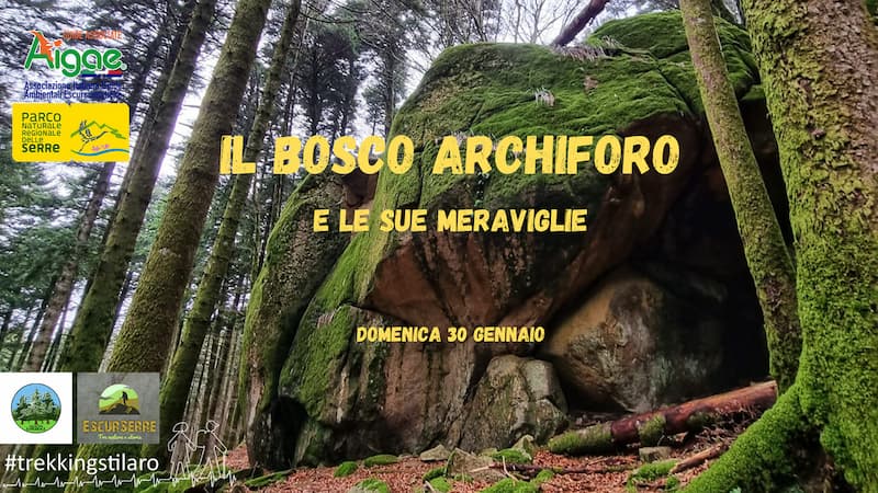 Il Bosco Archiforo e le sue meraviglie 30 gennaio 2022