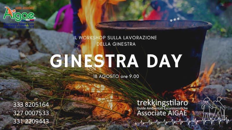 Ginestra Day 18 agosto 2022 a Bivongi locandina