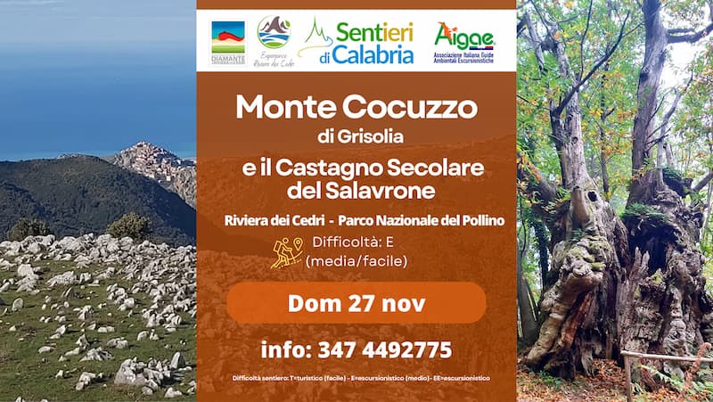 Il Monte Cocuzzo di Grisolia e il Castagno Secolare del Salavrone 27 novembre 2022 locandina