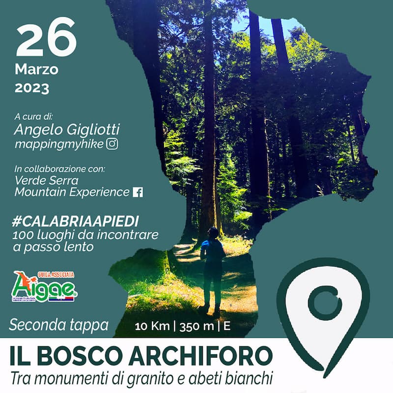 Escursione al Bosco Archiforo, tra monumenti di granito e Abete bianco 26 marzo 2023 Serra San Bruno locandina