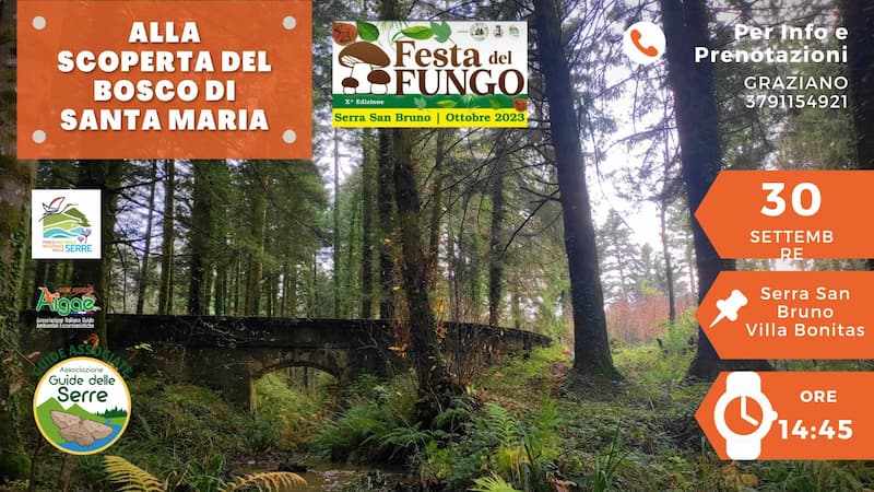 Alla scoperta del bosco di Santa Maria 30 Settembre 2023 Villa Bonitas, Serra San Bruno locandina