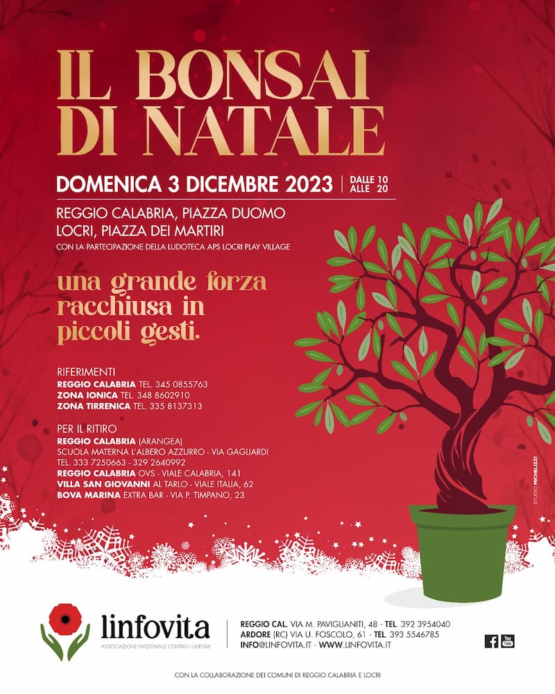 Il Bonsai di Natale 3 Dicembre 2023 Piazza Duomo, Reggio Calabria Piazza dei Martiri, Locri