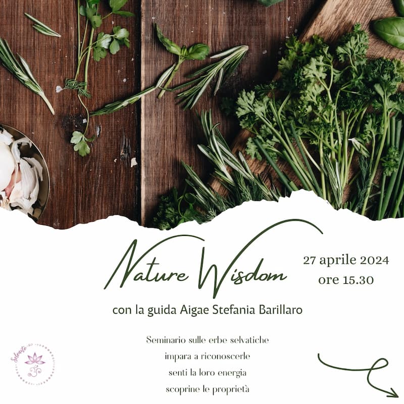 Giornata di conoscenza e raccolta erbe naturali con Stefania Barillaro 27 Aprile 2024 Via Leonardo Drago snc Parghelia