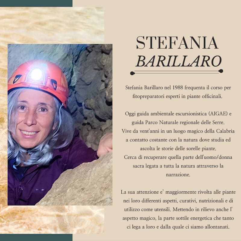 Giornata di conoscenza e raccolta erbe naturali con Stefania Barillaro 27 Aprile 2024 Via Leonardo Drago snc Parghelia